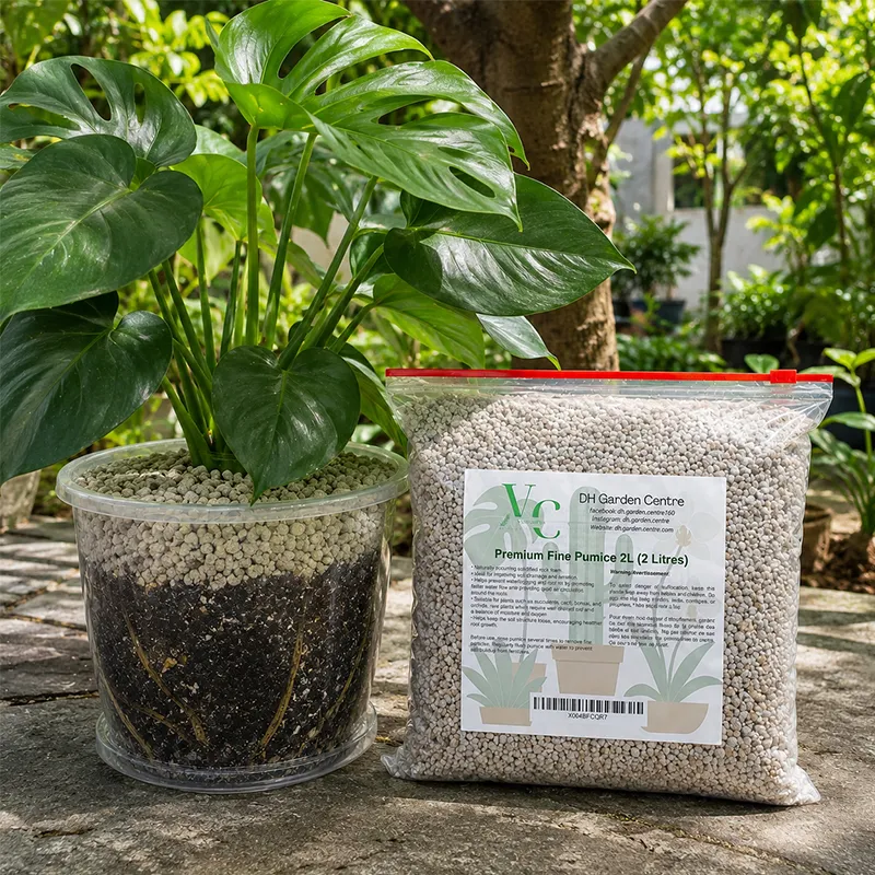 Premium Fine Pumice 2L