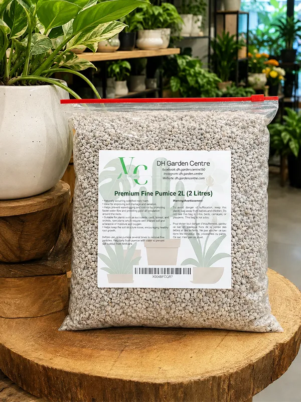 Premium Fine Pumice
